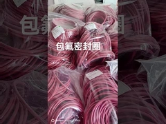 FEP Encap 실리콘 O 링, FEP Encap 비톤 O 링