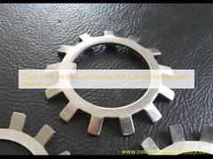 SS304 SS316 MS 강철 외부 톱니 록 와셔, 자연색