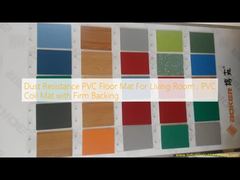 거실용 먼지 방지 PVC 바닥 매트, 튼튼한 뒷면의 PVC 코일 매트