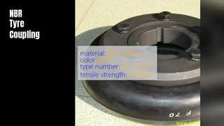 NBR 고무 타이어 커플링 F40 F250 고인장